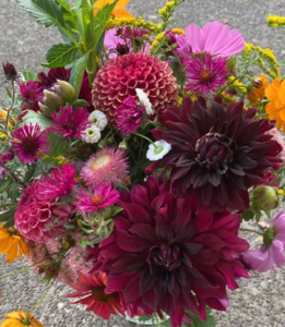 Floral Design Workshop
