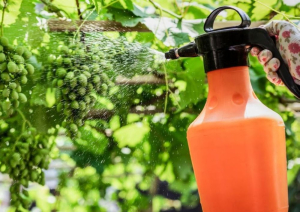 Building an Organic Vineyard Spray Program