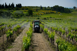 Sprayer Calibration Workshop