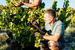 Vineyard Crop Estimation Workshop